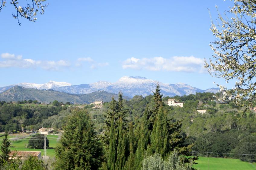 Mulet Llubi - foto 49