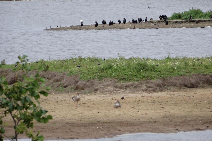 Geltinger Bucht - foto 30