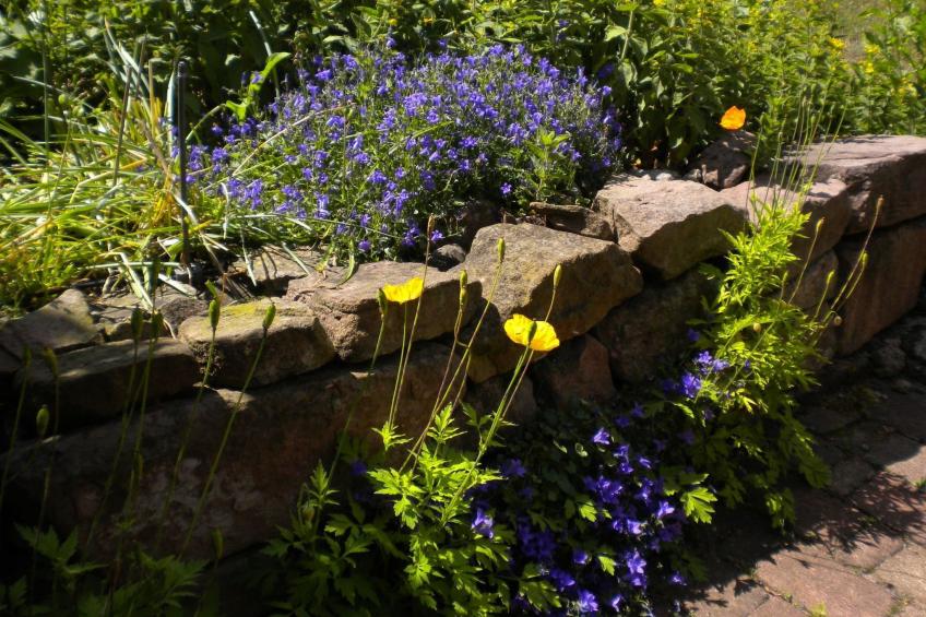 1ed-Face Vosges,au Sud,coeur Vignoble,Calme,WiFi - foto 22