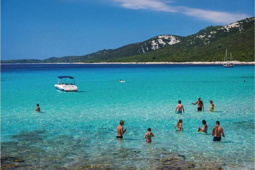 Gorgonia S2 - foto 35