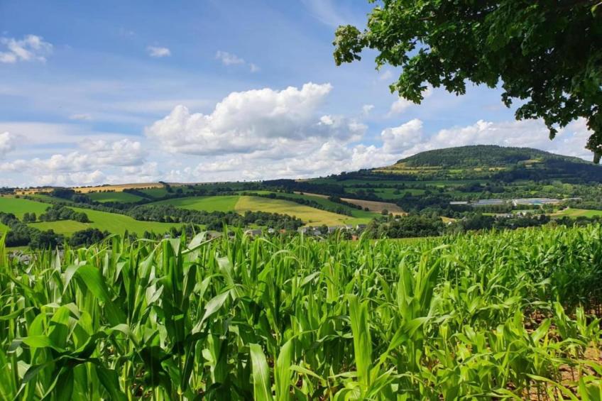 Gruppenferienhaus nähe Kurort Oberwiesenthal - foto 39