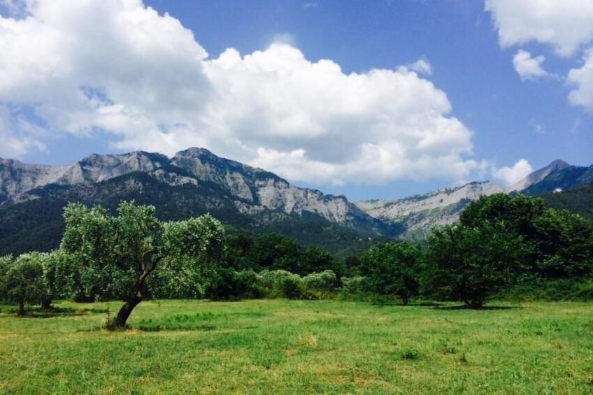 in Thasos mit Großer Terrasse - foto 26