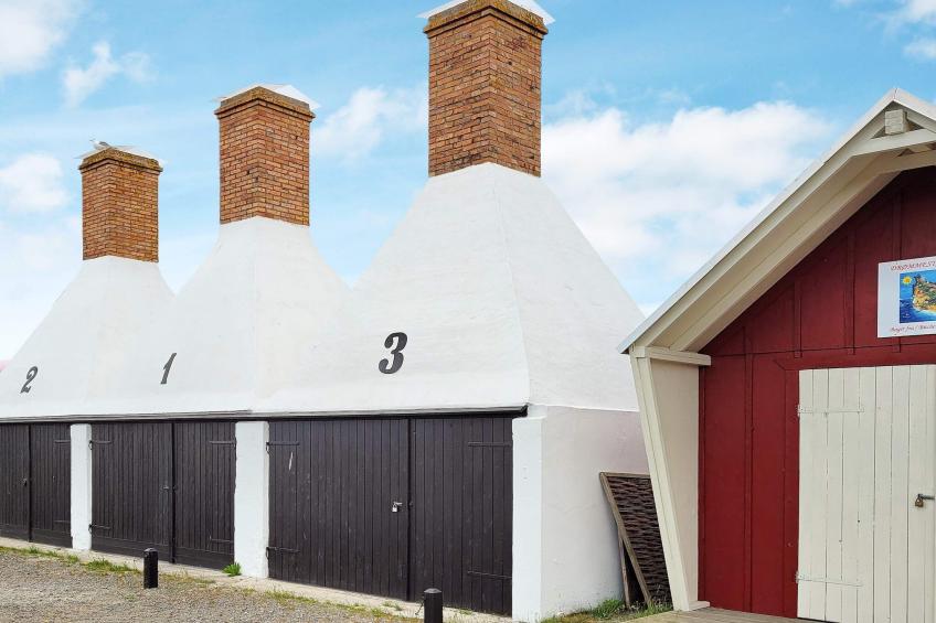 FUGLEKONGEN - foto 40