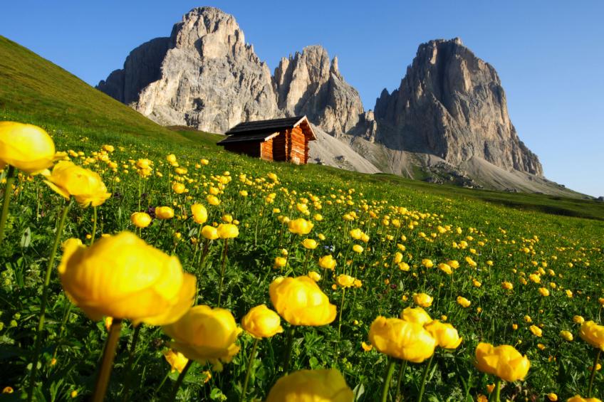 Haus Carmen (SOF801) - foto 32