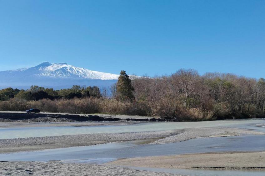 Villa Aloe Charming House - foto 37