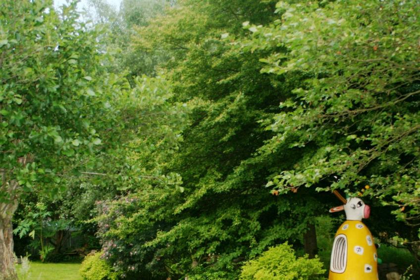 Wippsteert - foto 13