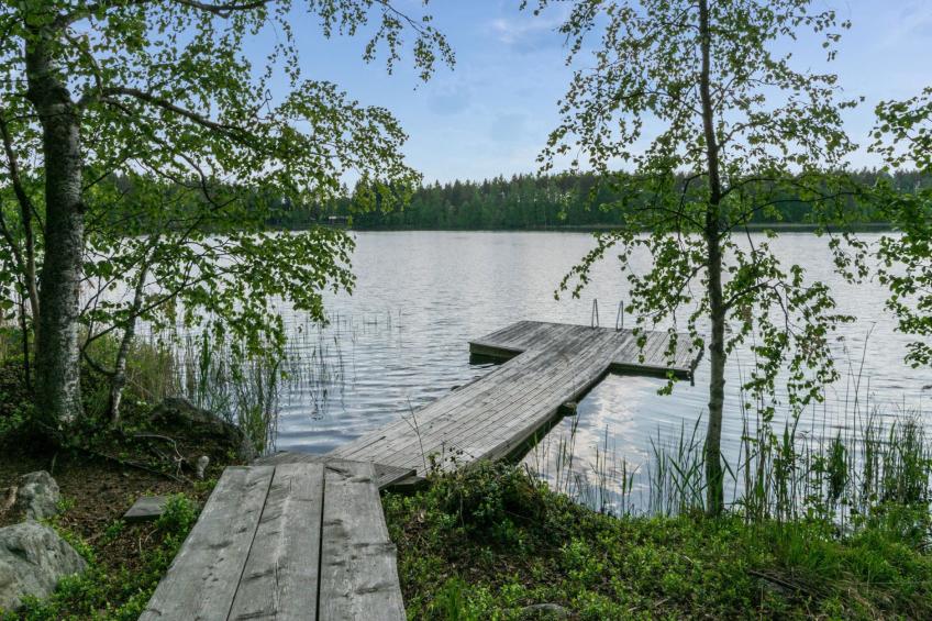 Koivuniemen rouva - foto 6