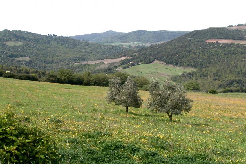 Casa Tiglio - foto 37