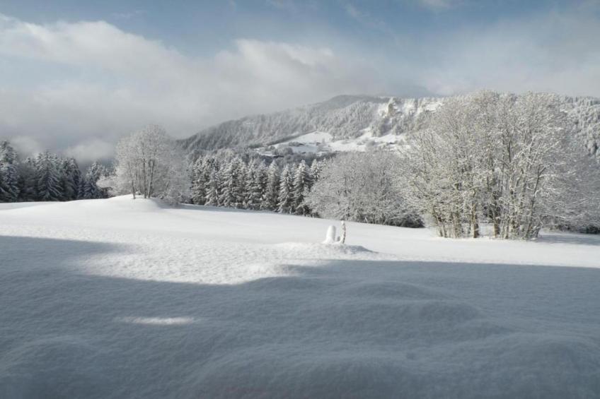 Résidence Les Belles Roches - foto 30