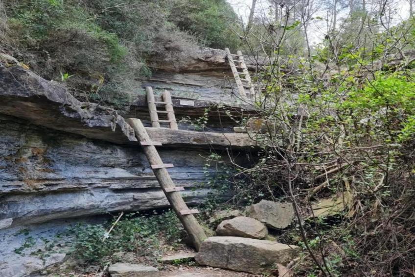 Vilanova Park BUNGALOW 4 PAX S150 - foto 37