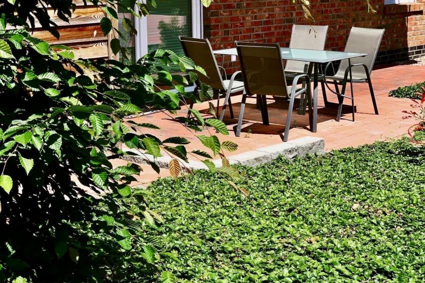 "Hasel" Barrierefrei mit Fahrstuhl direkt am Stausee