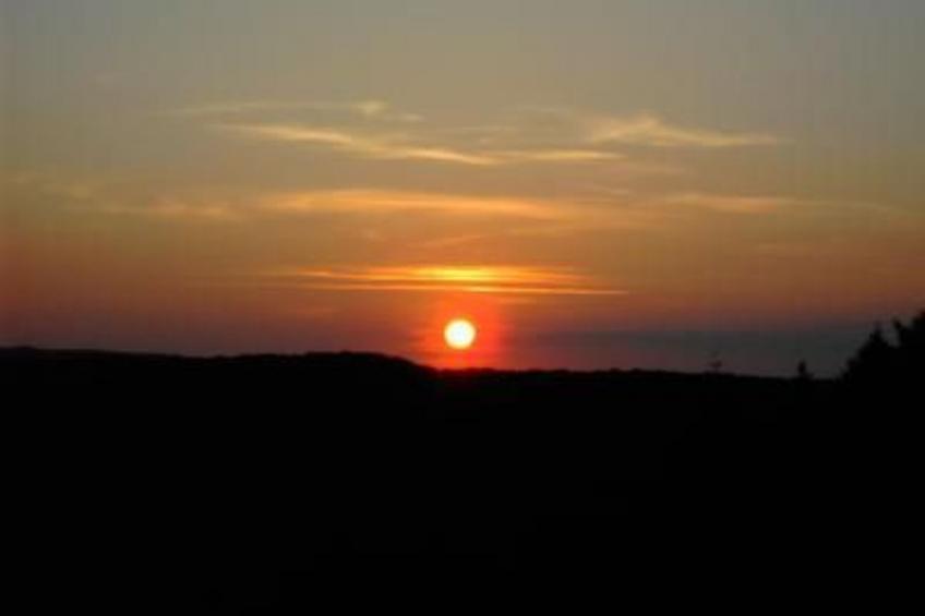 Am Waldrand - foto 24