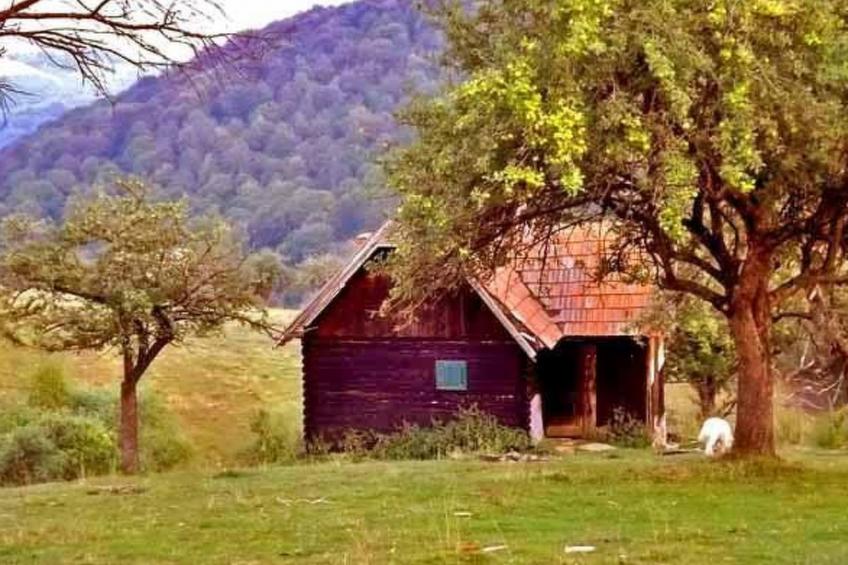 in Sibiel mit Terrasse und Grill - foto 6