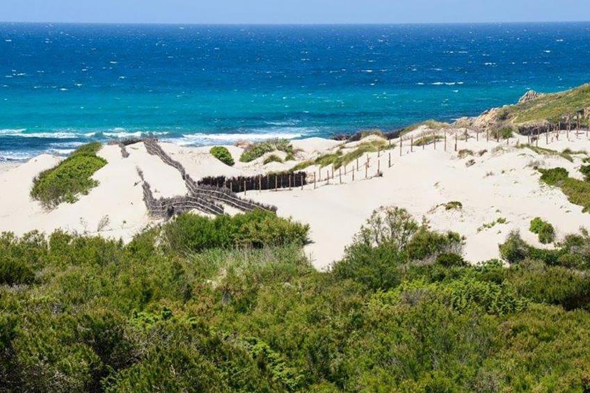 La Casetta di Franci - foto 27