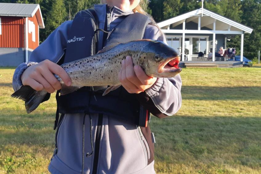 Häuser mit Seeblick Schweden 2 - foto 37