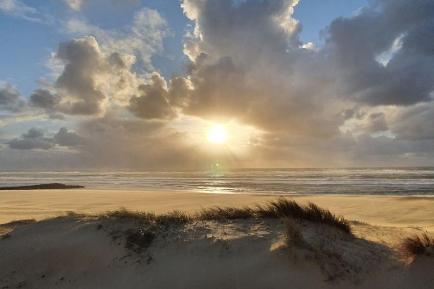 Villa Cocoon Contis-plage 1 chambre - foto 25