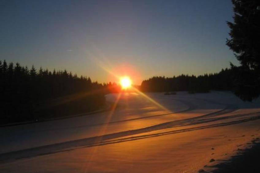 Appartement mit Garten in Schwärzenbach - foto 31
