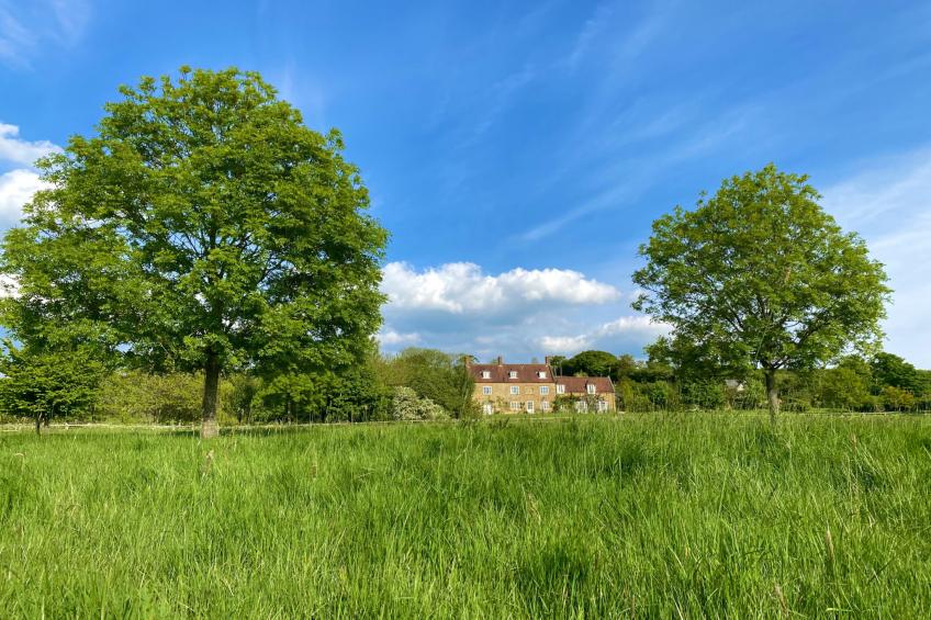 New Park Farm - foto 33