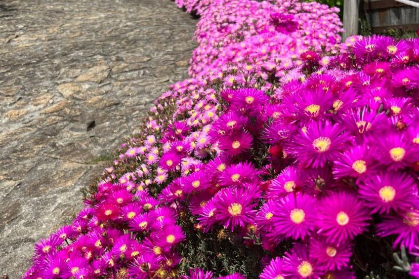 Casas das Olas 1 - Großartige Aussicht, 2 Pools, idealer Ort zum Entspannen und - foto 64