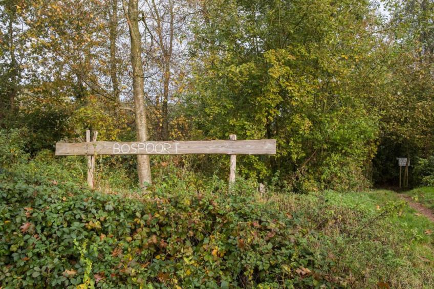 118 | Rietzanger | Sfeervol ingerichte bungalow - foto 36