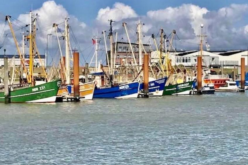 in Hage mit Garten, Terrasse und Grill - foto 15