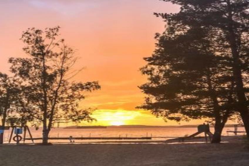 Hästöskata b - foto 20