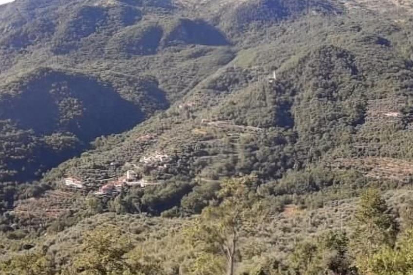 Schönes Ferienhaus mit Garten und Whirlpool - foto 27