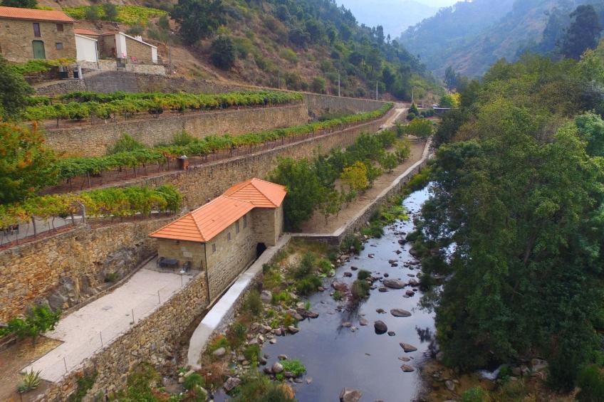 Landgut "Casa do Moinho" - foto 13