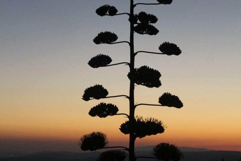 Ferienvilla mit Blick auf das Wasser - foto 31