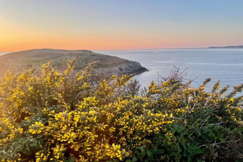 Maison de Vacances Le Conquet - foto 31