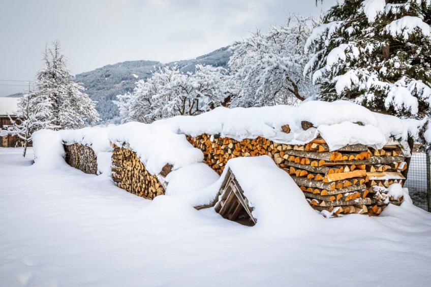 Hanserbauer - foto 36