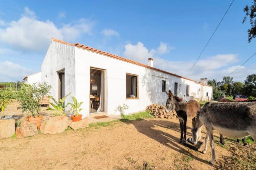 Casinha Da Paz - foto 2