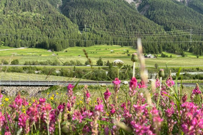 Chasa Ernst - foto 33