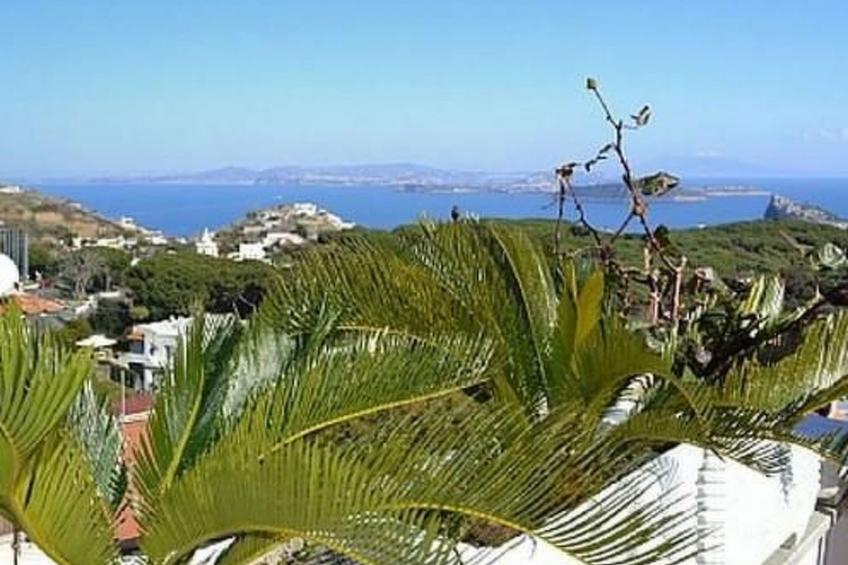 Wohnung mit großer Terrasse und Meerblick - foto 35