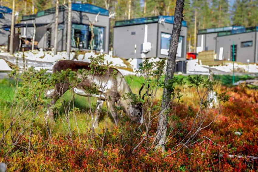 Levi secret igloo ruska 8d - foto 40