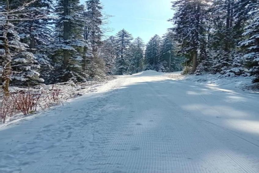 Am Wald - foto 39