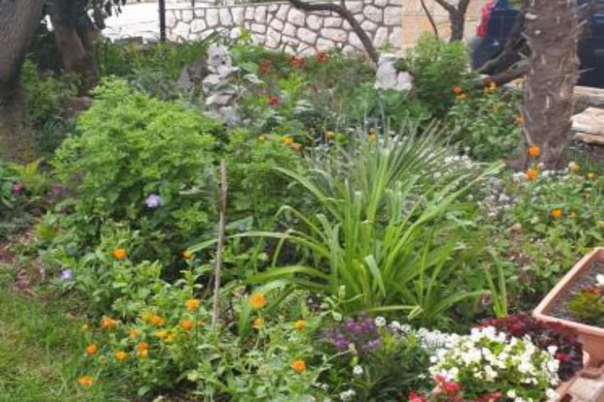 Apartments Marko - One Bedroom Apartment (Ground Floor) - foto 20