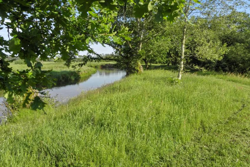 "Beatha" - 25km to the inlet in Western Jutland - foto 5