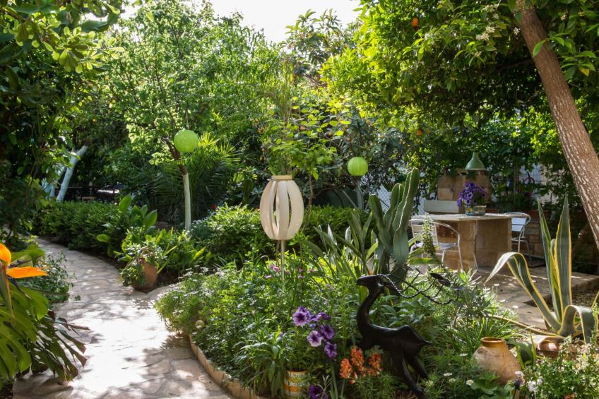 Diamante beachfront suite B - foto 19