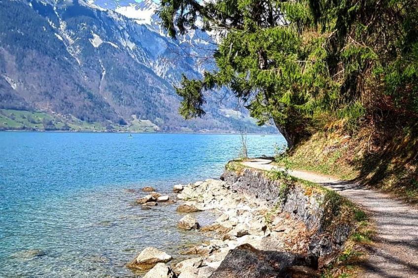 LiloTopMountainView - foto 20