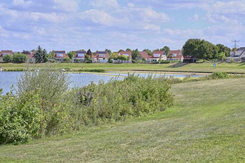 Rose Garden - foto 8