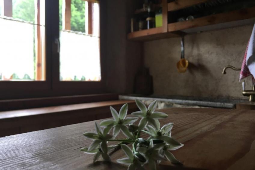 mit Sauna in Pieve Di Bono - foto 25