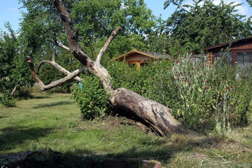 Gemütliches Appartement in Betschdorf - foto 17