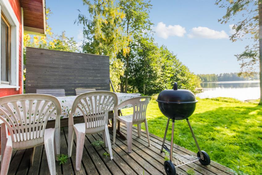 Saniainen - foto 17