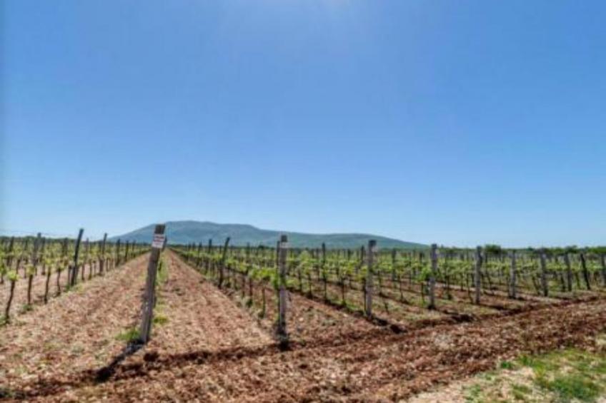 Rooms Burnum - Twin Room 7 - foto 22