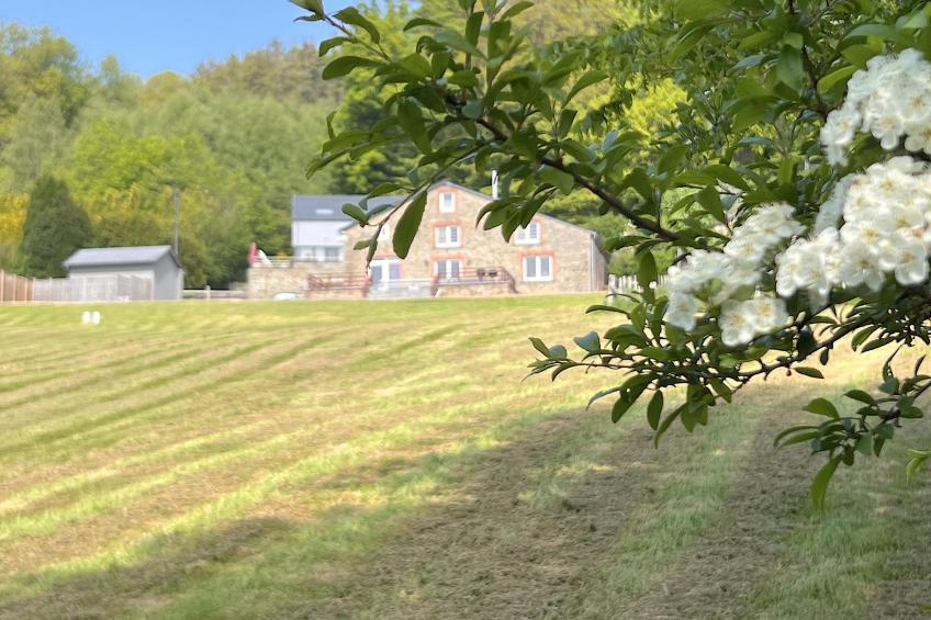 La Ferme - foto 43