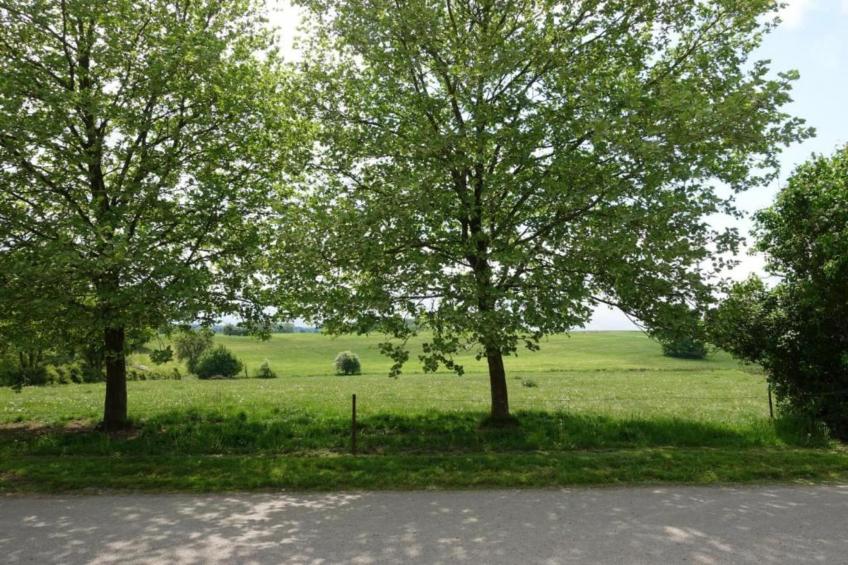 Le Marteaubois - foto 34