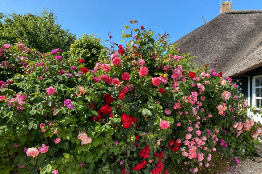 Haus Wattwurm - foto 27