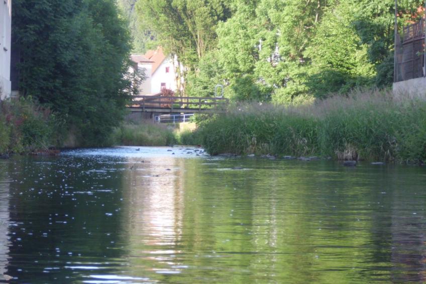 Fewo 2 An der Rodach - foto 12