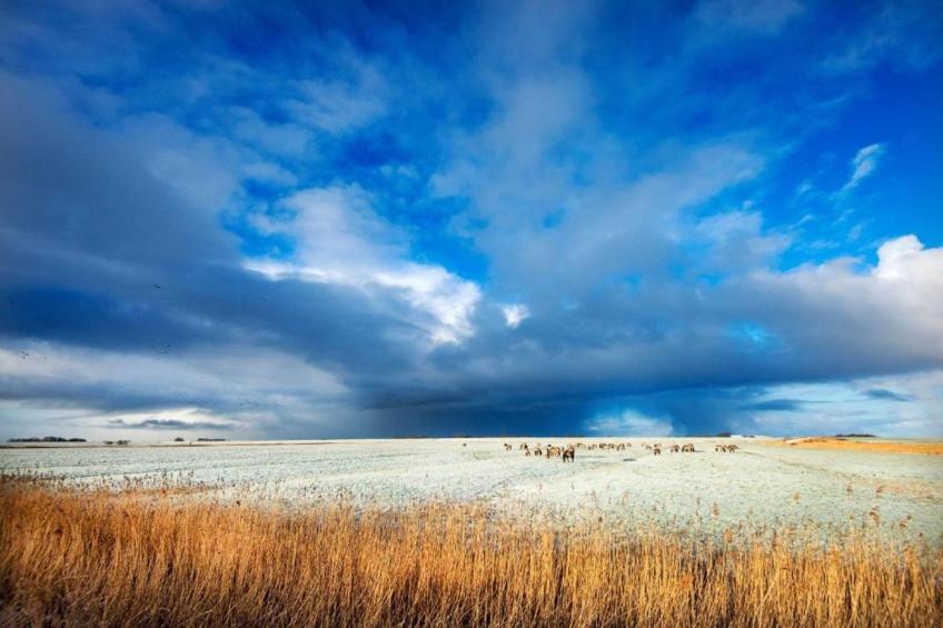 Grote Siege 44 - foto 38